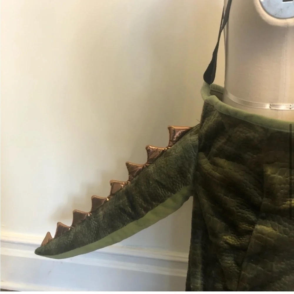 Dinosaur 3D Plush Kids Costume Halloween Rawrs With a Button Ride On